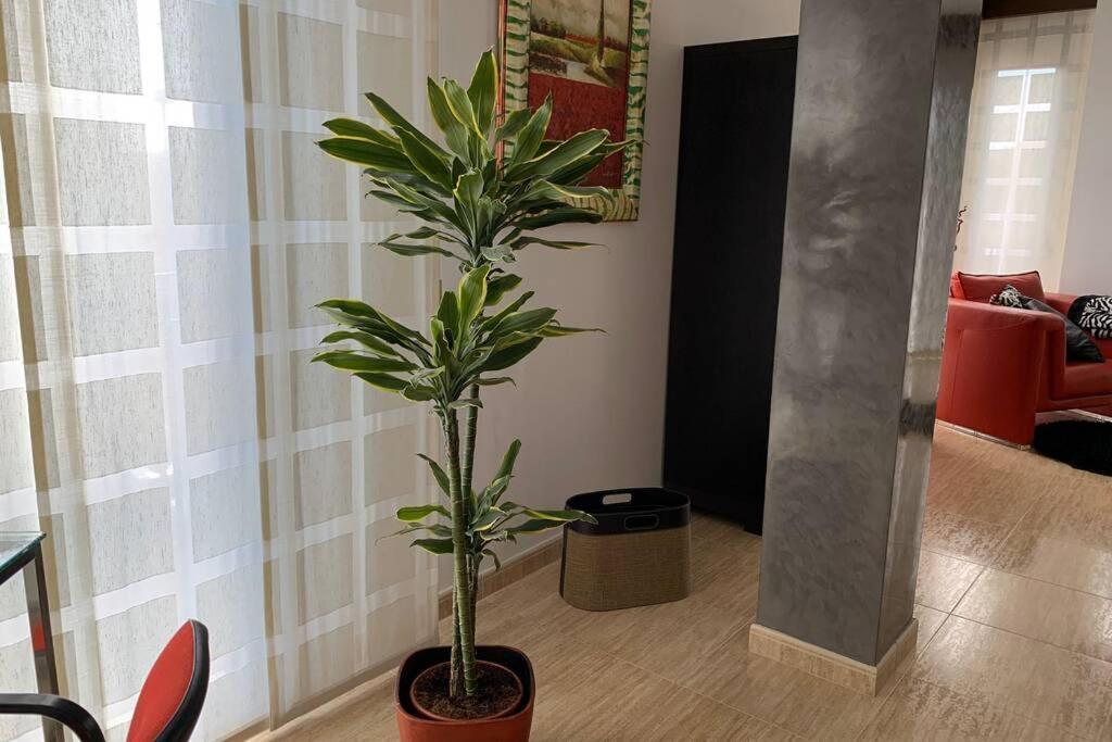 Apartamento Miramar . Amplitud Y Comodidad Almassora Kültér fotó